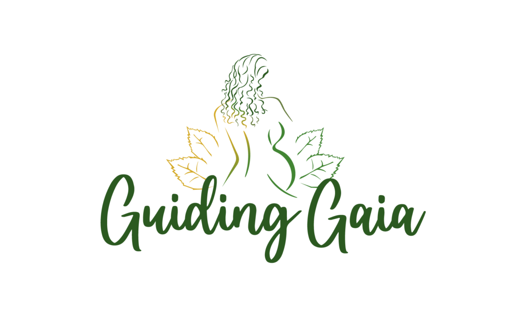 GUIDING GAIA