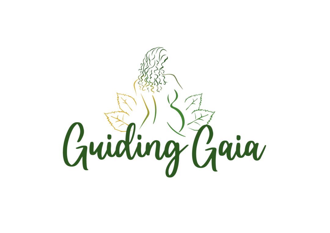 GUIDING GAIA